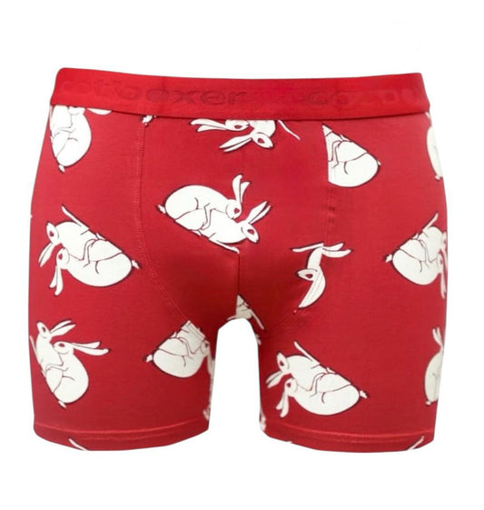 Cotboxer Limited 201026