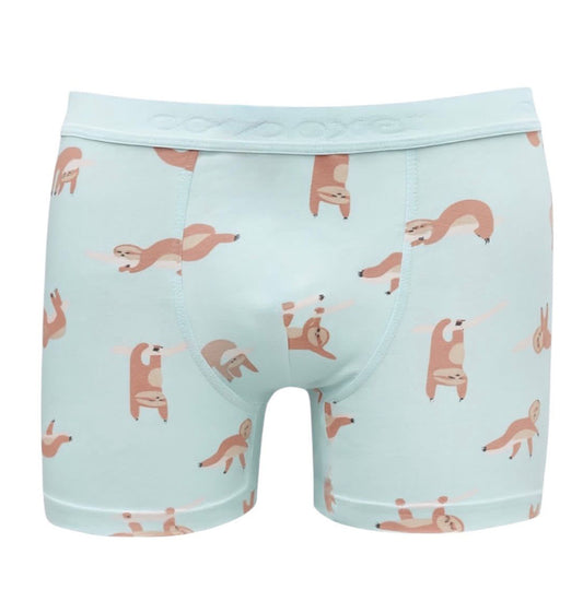 Cotboxer Limited 201031