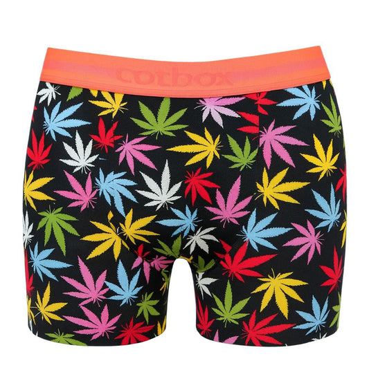 Cotboxer Limited 20101